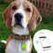 GPS-Tag für Haustiere - PawFinder