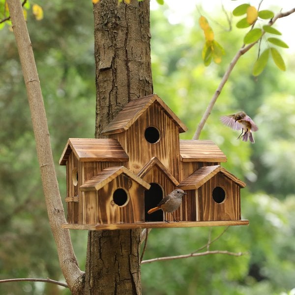 WillowNest Funktionales Vogelhaus aus Holz