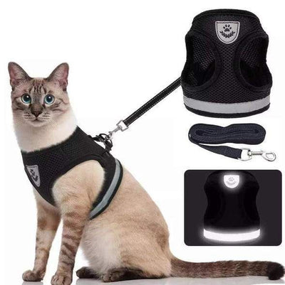 Verstellbares, atmungsaktives, leuchtendes Katzengeschirr
