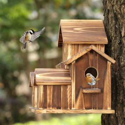 WillowNest Funktionales Vogelhaus aus Holz