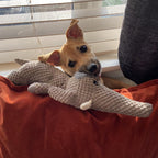 Extra starkes Hundespielzeug - Langlebiges Plüsch-Kauspielzeug für aktive Hunde