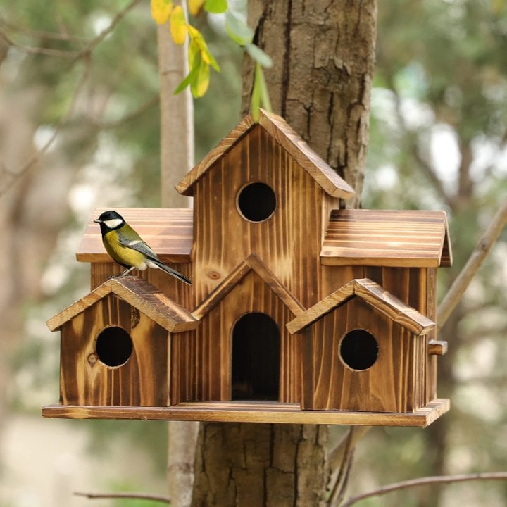 WillowNest Funktionales Vogelhaus aus Holz