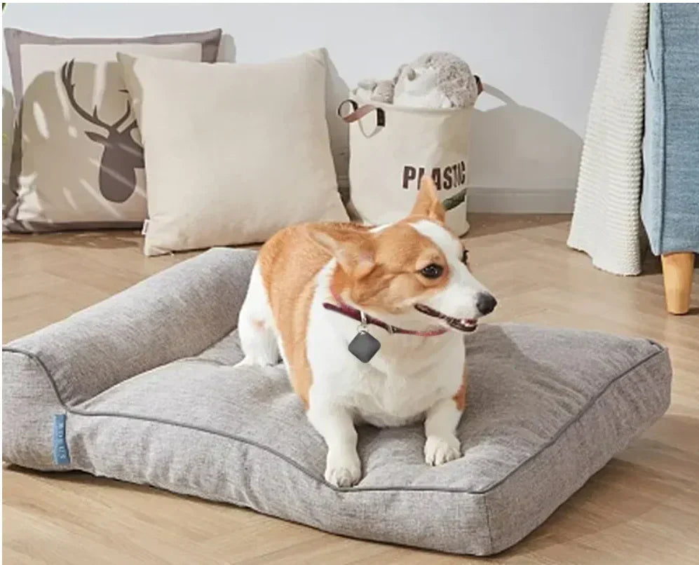 PetTrack – Rastreador GPS compacto para mascotas, niños y objetos de valor