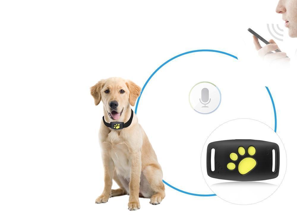 PAWTRACK MINI - Kompakter GPS-Tracker für Katzen mit Echtzeit-Standortüberwachung