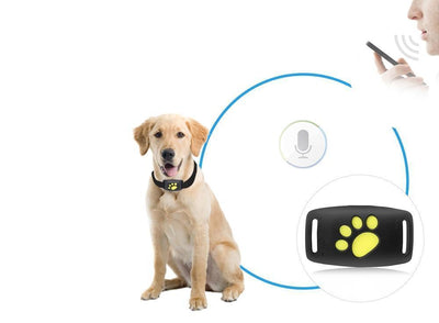 PAWTRACK MINI - Kompakter GPS-Tracker für Katzen mit Echtzeit-Standortüberwachung
