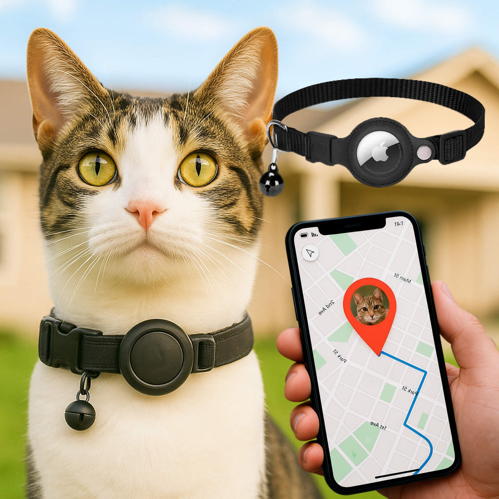 GPS-Tracker-Halsband für Katzen | Schnellverschluss, reflektierendes Design und langlebig für sichere Outdoor-Abenteuer