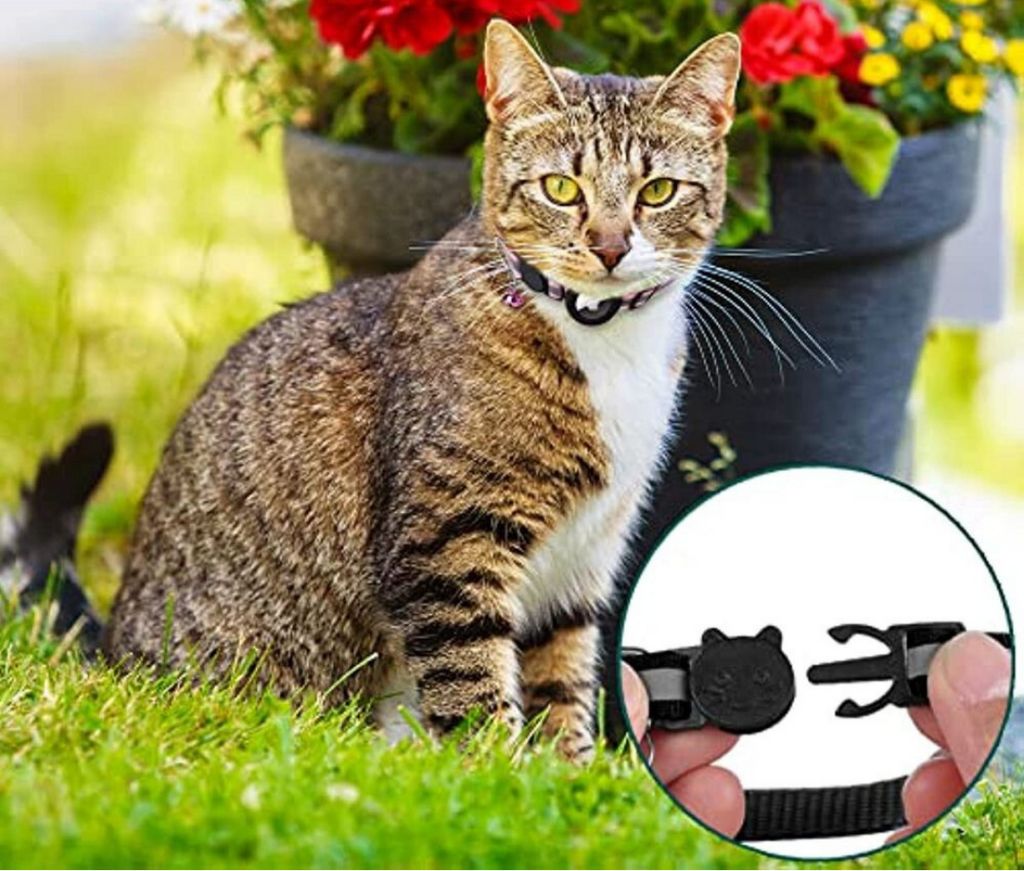 GPS-Tracker-Halsband für Katzen | Schnellverschluss, reflektierendes Design und langlebig für sichere Outdoor-Abenteuer