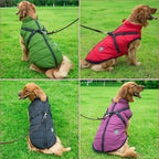 Winterjacke für Hunde