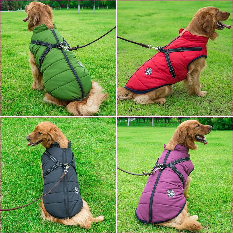 Winterjacke für Hunde