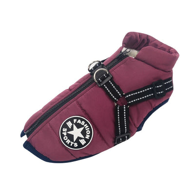 Winterjacke für Hunde
