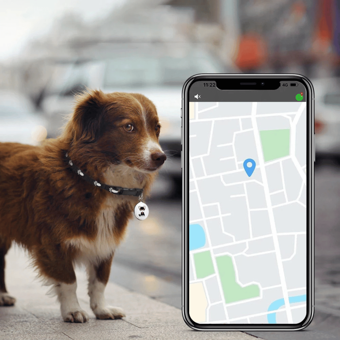 NARA - GPS-Tracker für Haustiere mit Bluetooth und wasserdichtem Design - Kompakt und leicht für Sicherheit