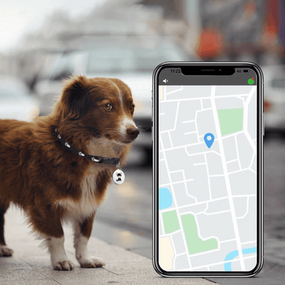 NARA - GPS-Tracker für Haustiere mit Bluetooth und wasserdichtem Design - Kompakt und leicht für Sicherheit