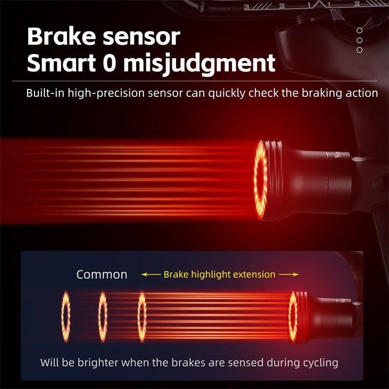 Seltenes Fahrradlicht