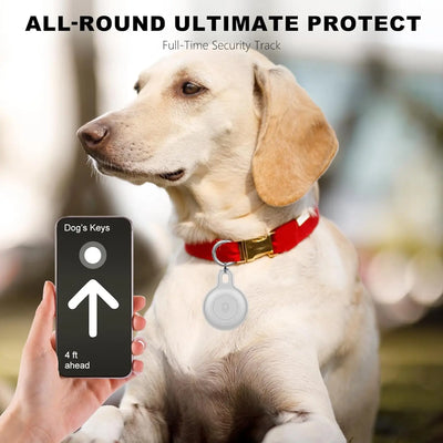 Ziggy Pet Tracker - für sorgenfreie Abenteuer