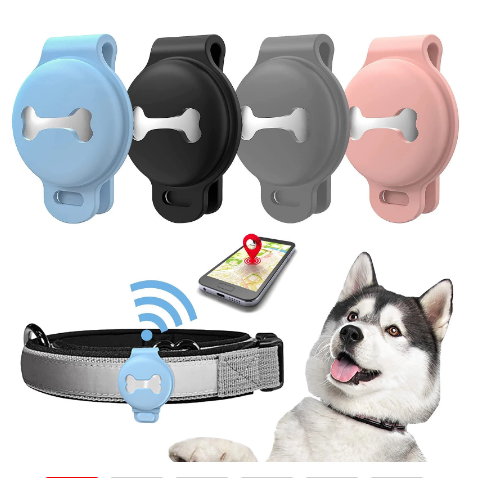 Caspar | GPS Hundegerät - Immer wissen, wo Ihr vierbeiniger Freund ist