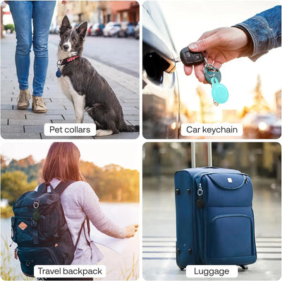 Ziggy Pet Tracker - für sorgenfreie Abenteuer