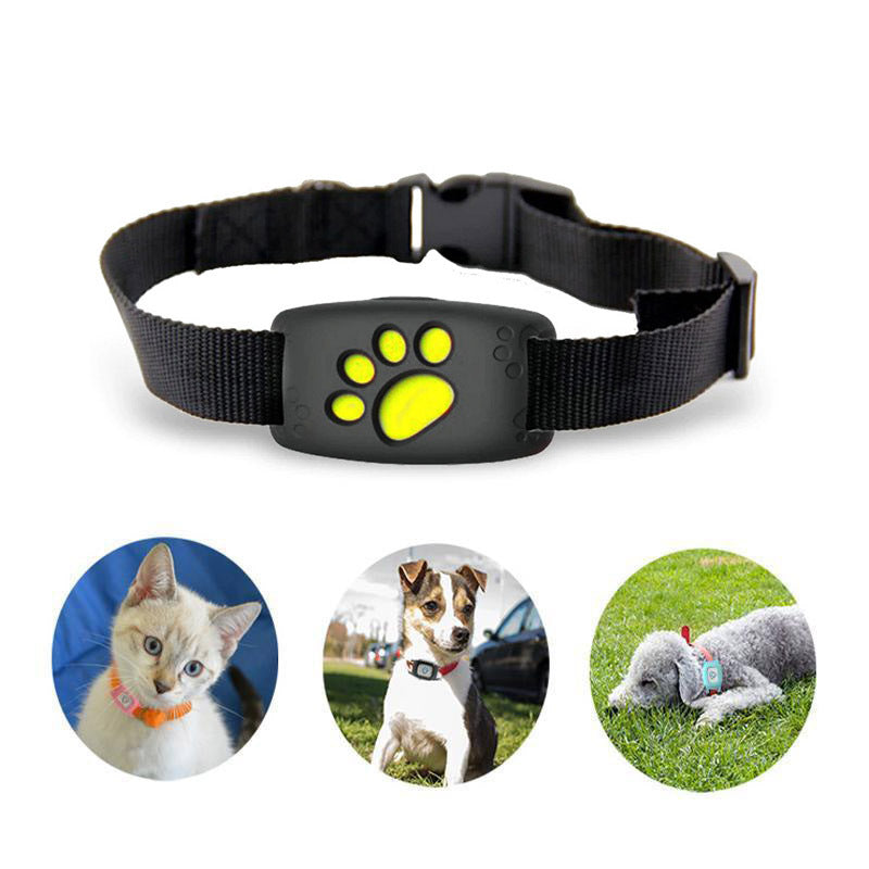 Pet GPS Tracker Halsband Katze - abonnementfrei und wasserdicht