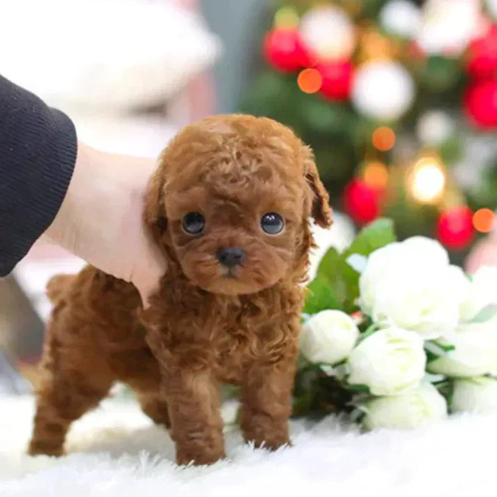 Realistischer Roboterhund