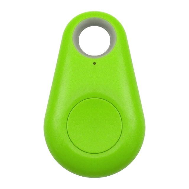 GPS-Tag für Haustiere - PawFinder