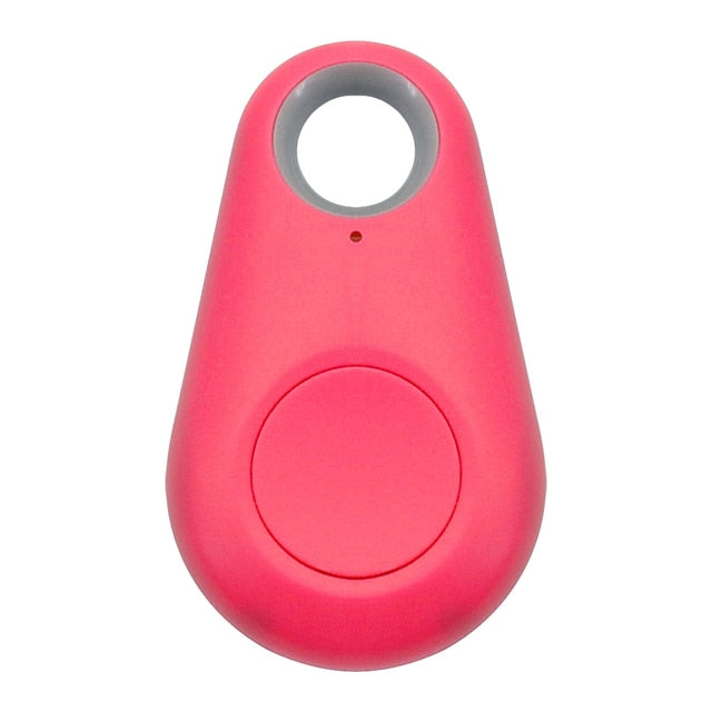 GPS-Tag für Haustiere - PawFinder