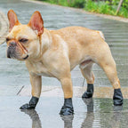 Wasserdichte Schuhe für Hunde mit guter Griffigkeit und Komfort